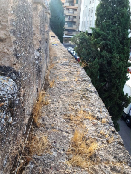 Instalación y testeo de líneas de vida provisionales en las murallas de la Macarena - Alquiansa