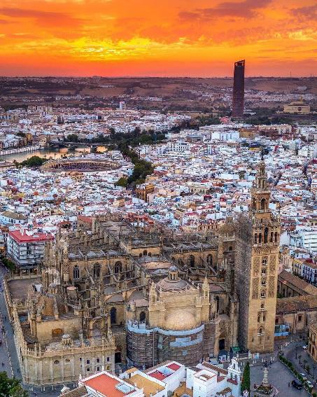 Revisión anual de las líneas de vida de la Catedral de Sevilla - Alquiansa