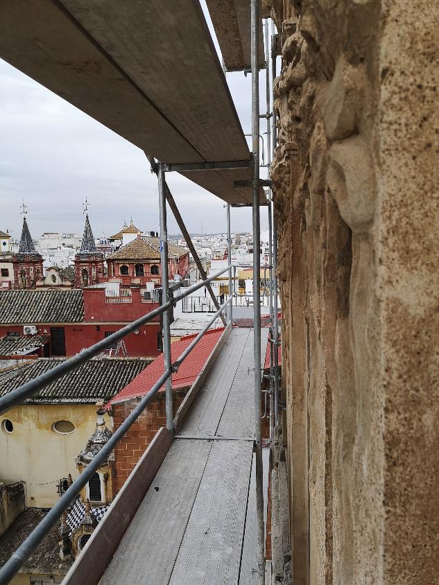Estudio de los paramentos de la torre de la Iglesia de El Salvador de Sevilla - Alquiansa